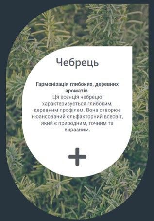 Ефірна олія САУНА Айс Чебрець 80 мл YCTHYM008 фото