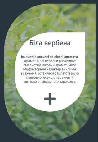 Ефірна олія САУНА Айс Вербена біла 80 мл YCVEBL008 фото