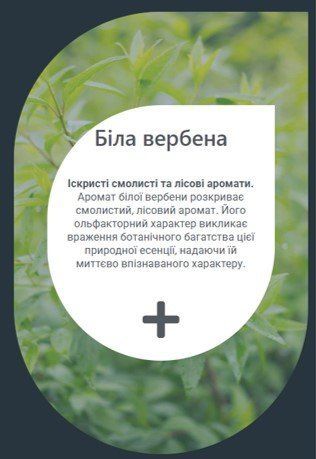 Ефірна олія САУНА Айс Вербена біла 80 мл YCVEBL008 фото