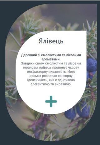 Ефірна олія САУНА Айс Ялівець 80 мл YCGENE008 фото
