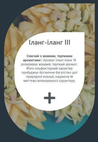 Ефірна олія САУНА Айс Іланг-іланг 80 мл YCYLAN008 фото