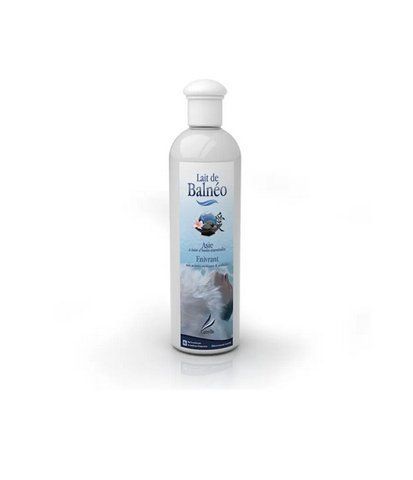 Аромат для чанів та джакузі Camylle Lait de Balneo Азія BAAS025 фото