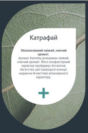 Ефірна олія САУНА Айс Катрафа 80 мл YCKATR008 фото