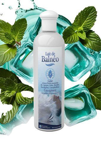 Аромат для чанів та джакузі Camylle Lait de Balneo Люкс суміш BALU025 фото