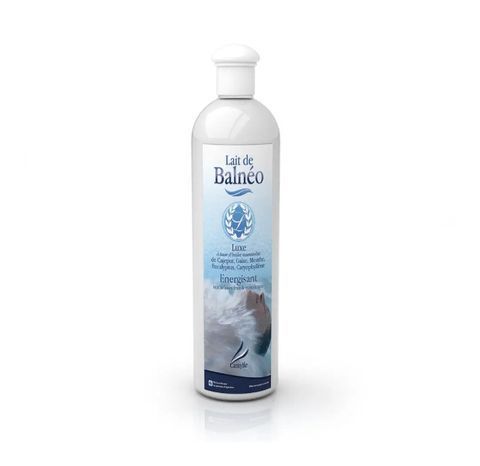 Аромат для чанів та джакузі Camylle Lait de Balneo Люкс суміш BALU025 фото