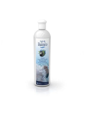 Аромат для чанів та джакузі Camylle Lait de Balneo Схід BAOT025 фото